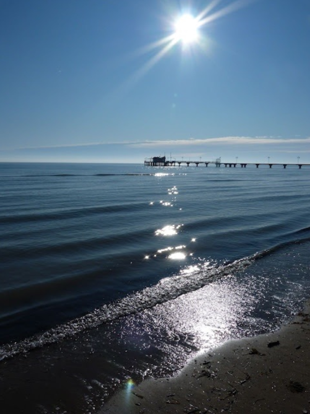 In viaggio con Amber verso Lignano