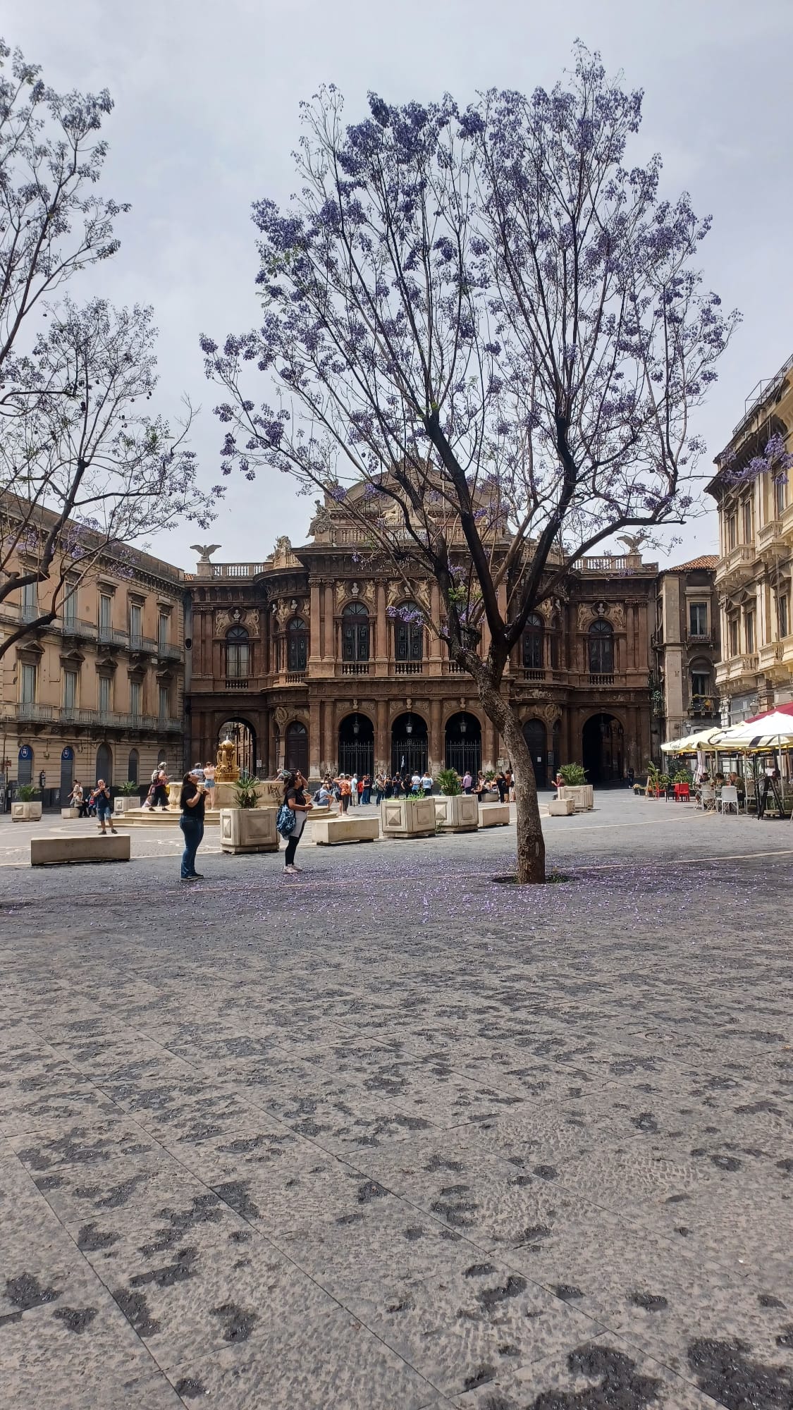 Teatro Massimo - Catania 