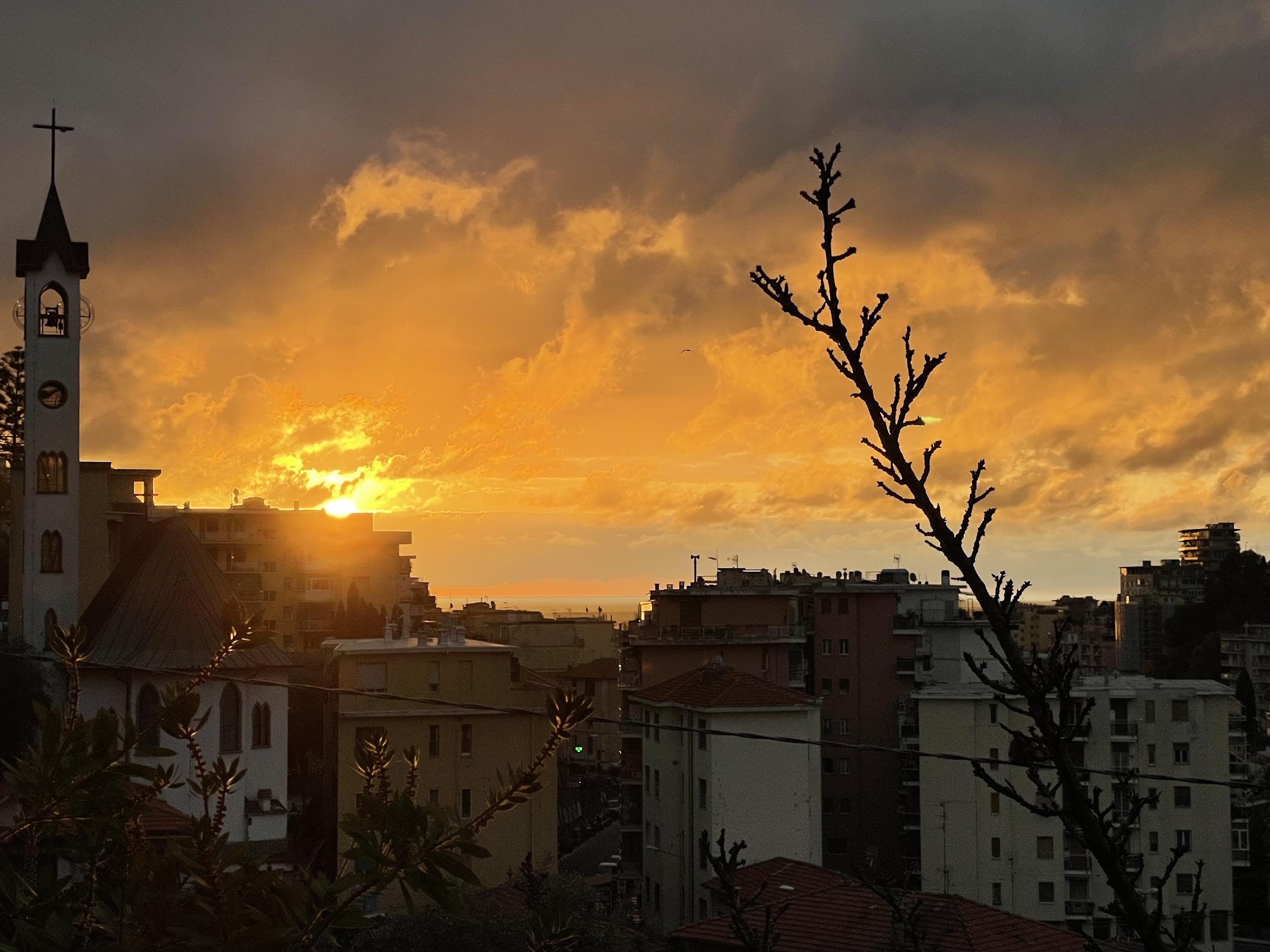 Calpestata terra di nessuno 